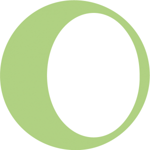 Noria research logo vert simple