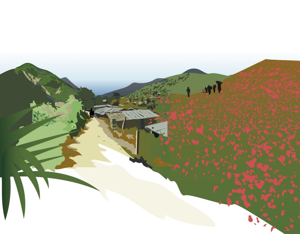 Capítulo 1 – La flor más roja del campo. ¿Cómo se integra la amapola en el panorama agrícola mexicano?