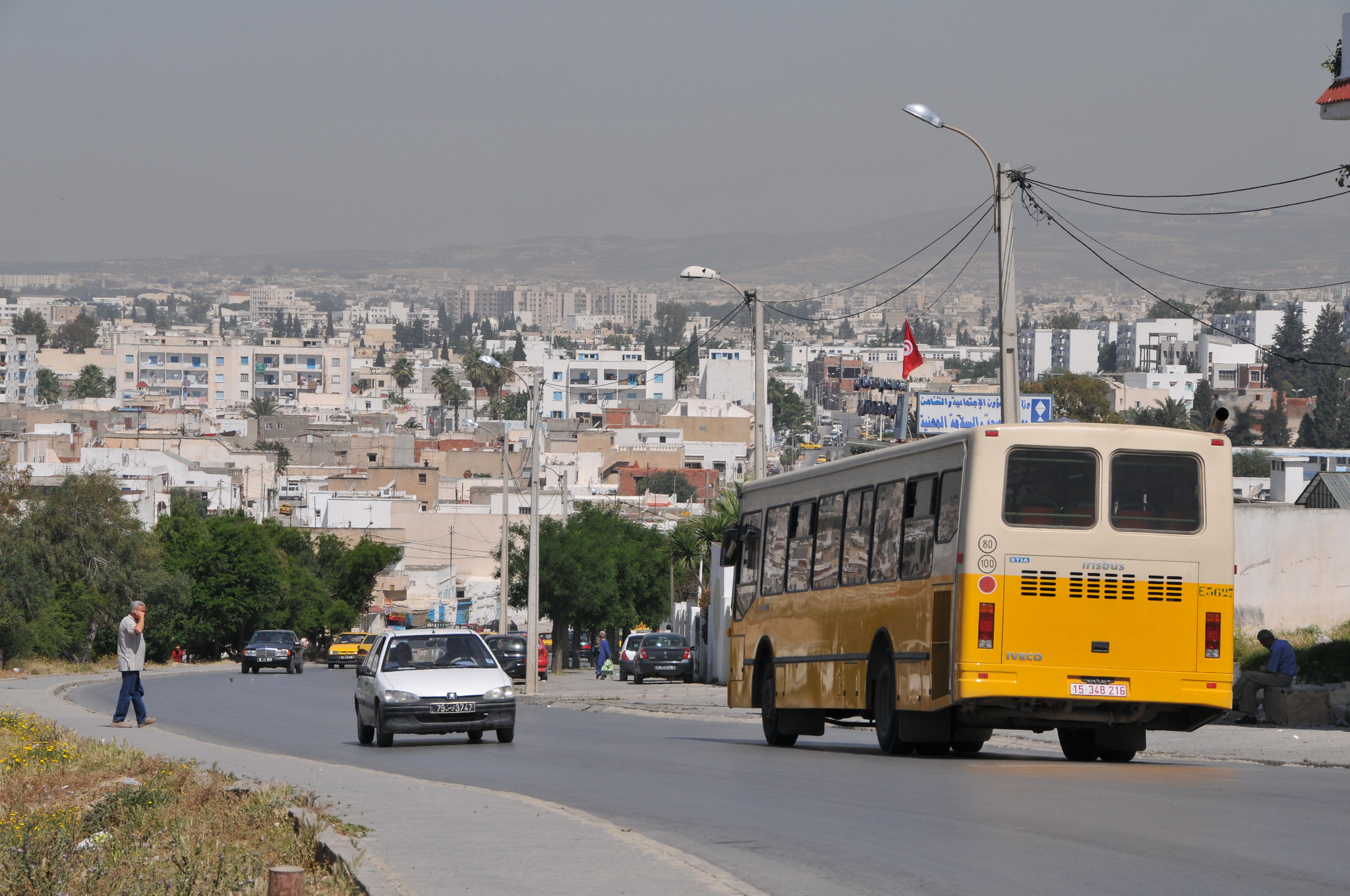  Gendered Impact of Austerity Measures on Public Services in Tunisia