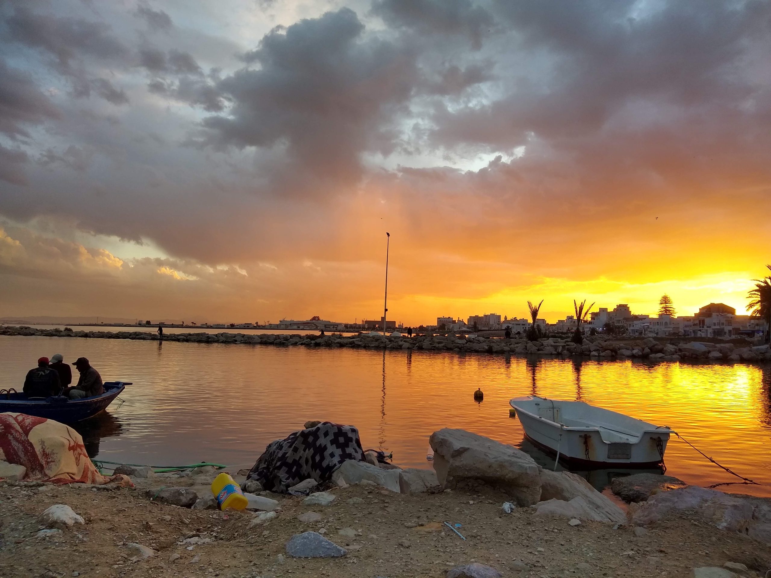 Tunisia’s Opposition in the Wake of October’s Presidential Elections