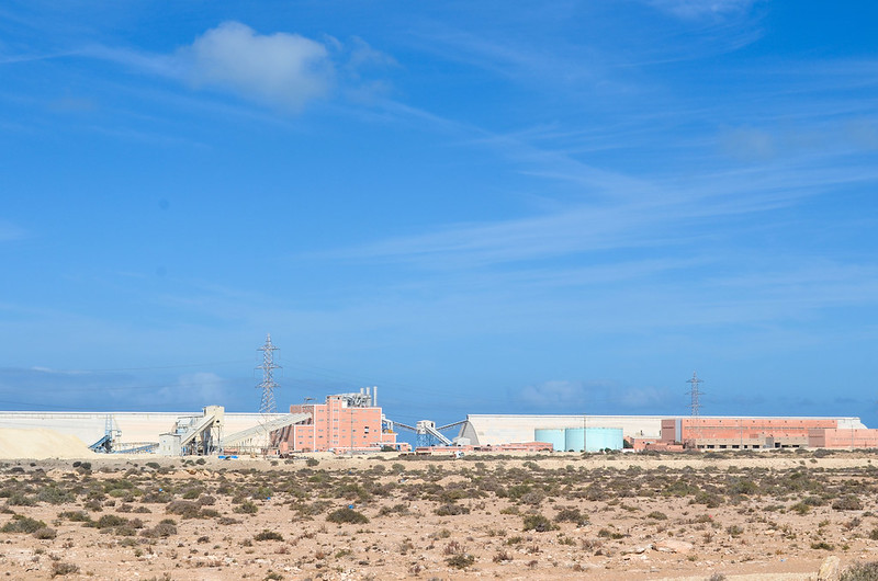 Devalued Money and Depleted Resources: The Ecological Consequences of Monetary Policy in North Africa